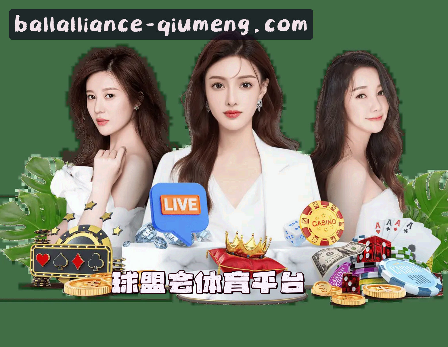 关于我们关于我们介绍